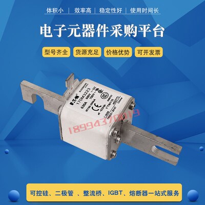 快速熔断器保险丝 170M3223/3228/3229/3238/3239/3240/3241/3242