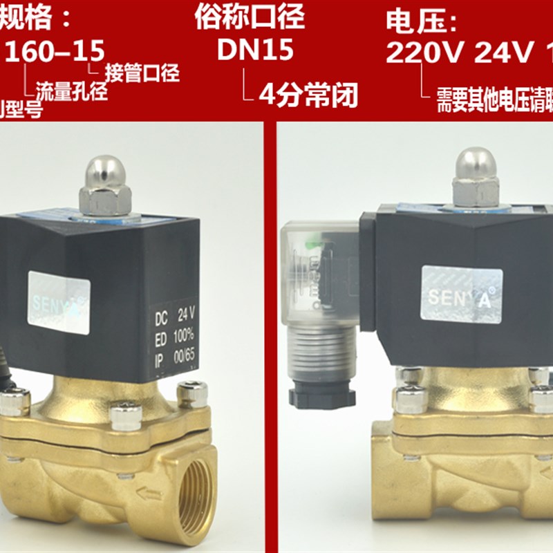 4分室外专用防水电磁阀水阀气阀6分防雾电磁阀1寸220V24V12V