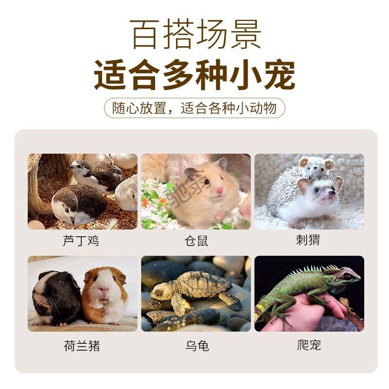 G厄仓鼠b笼子亚克力全透明饲养箱金丝熊专用造景全套超大宠物别墅