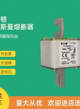 全新快速熔断器保险170M4058 170M4059 170M4060 170M4061
