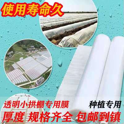 农用种植白色透明塑料薄膜小拱棚保温蔬菜大棚膜地膜二模加厚