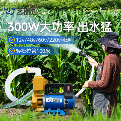 农用灌溉浇水机浇菜神器12V48V220V抽水机大功率自吸家用抽水泵