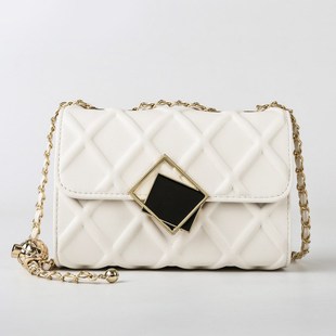 小众包包女士2024新款秋冬时尚百搭女款单肩斜挎包链条小包