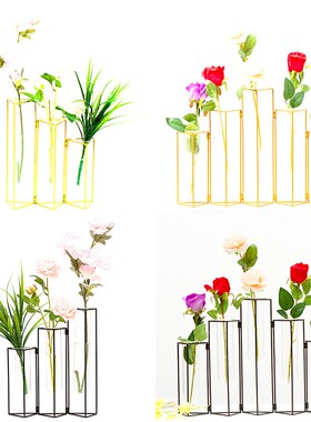 铁艺插花水养玻璃试管瓶架子创意可移动可旋转Q烤漆玻璃水培插花