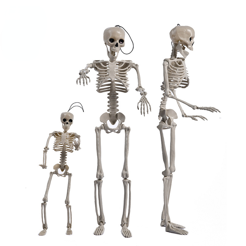 推荐Halloween decoration 40cm movable simulation skeleton pe