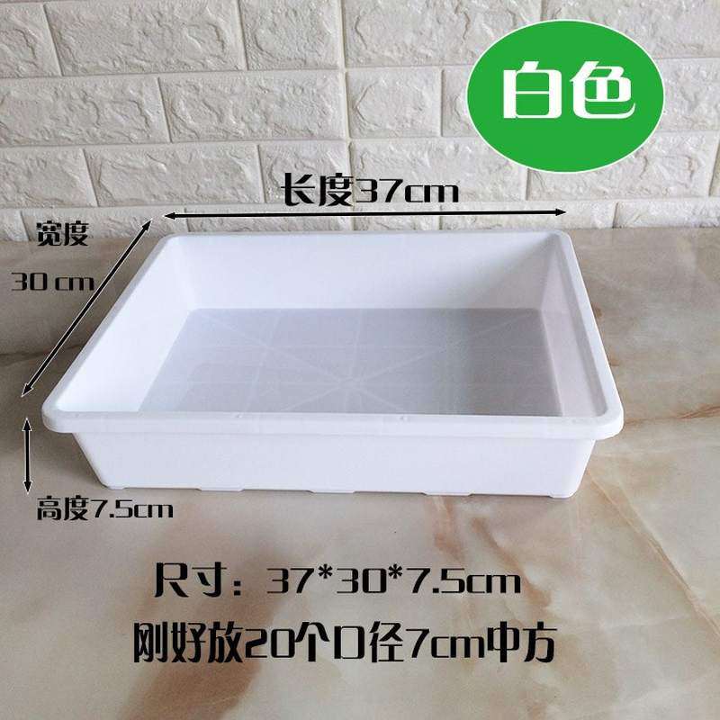 塑料育苗盆托盘多肉整理盘小黑方花盆不漏P水方便浸盆养捕蝇草