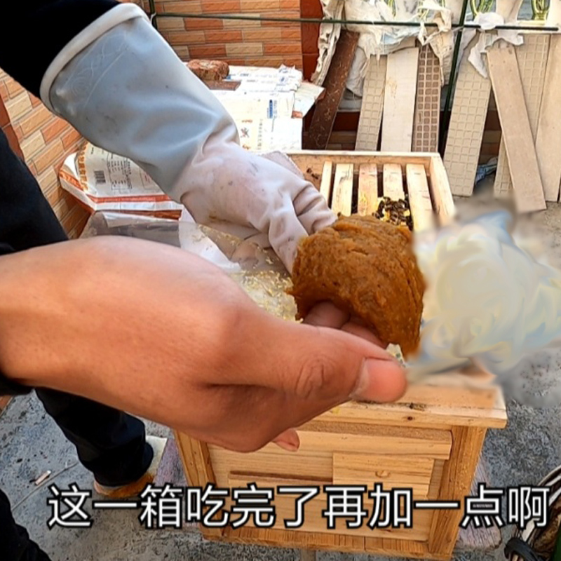 中蜂花粉浆e养蜂喂蜂蜂用发酵花粉浆春繁养蜜蜂饲料真过瘾花粉浆