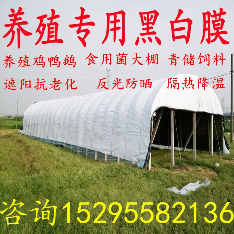 工厂销加厚黑白膜防晒遮阳隔热降温养鸡养L鸭养殖大棚膜食用菌大