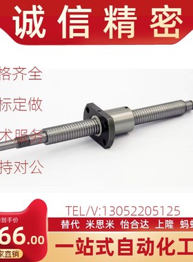 丝杠BSSR/BSSZ/BSSC/BSST0802 0804 1002 1505 1510 1520滚珠丝杆