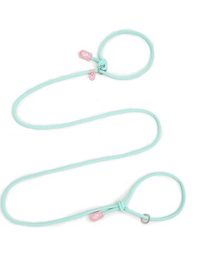 WAOPET韩版斜挎P绳狗狗牵引绳小狗马卡龙小O型犬宠物用品尼龙狗绳