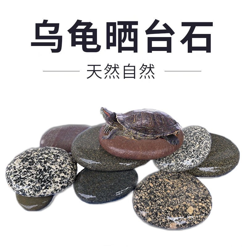 速发乌龟晒台天然原生造景用品鹅卵石乌龟缸扁平晒背爬台休息石头