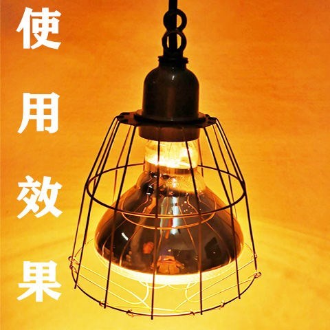 宠物狗狗猫咪新生儿繁育养v殖工具空调保温箱保暖灯取暖器加热保