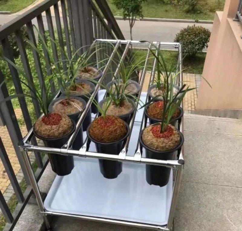 201不锈d钢花架兰花架兰花专用架可多层可调节兰草盆架组装兰花架