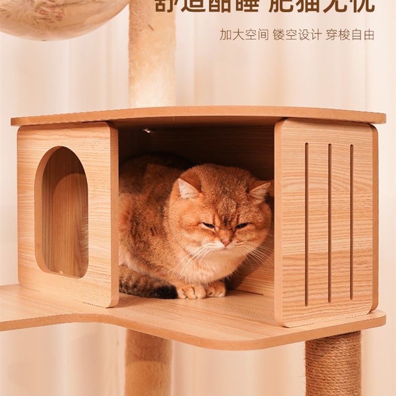 Cat climbiageframe cat litter Cat jumping platform spac. cn