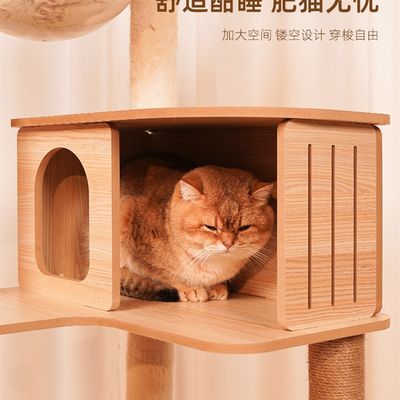 Cat climbiageframe cat litter Cat jumping platform spac.  cn