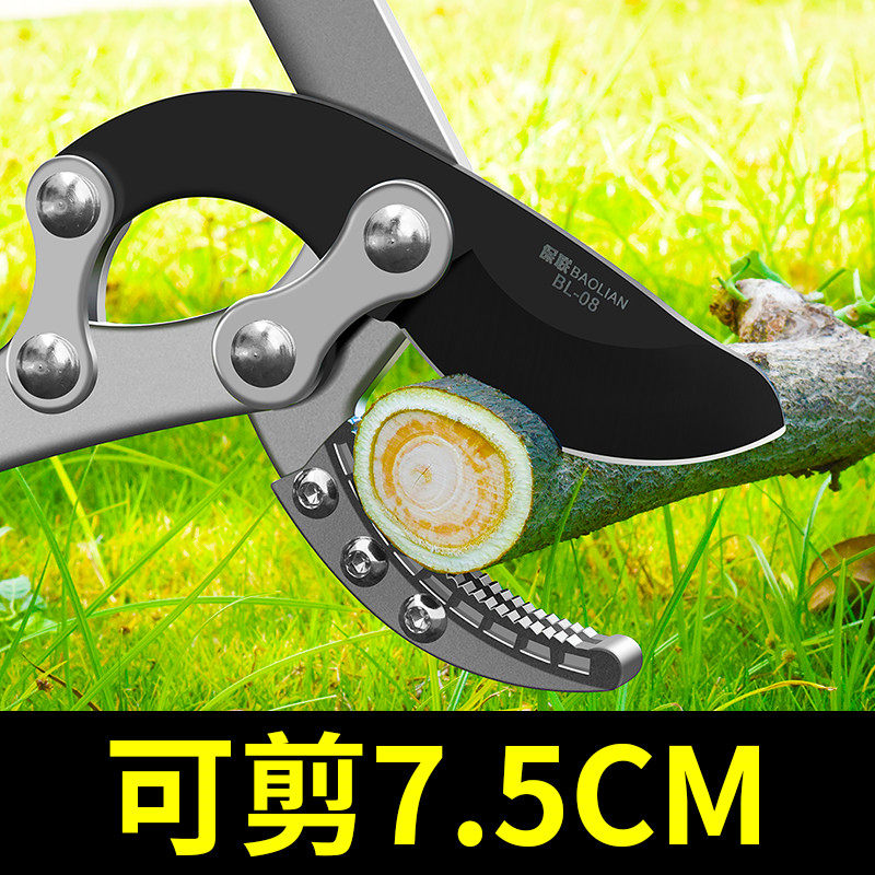 剪枝园林粗果树修枝剪刀园艺树枝大修剪强力工V具省力专用伸缩图片