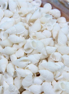 50/100PCS Natural conch shell Aquarium decoration mini Sea B