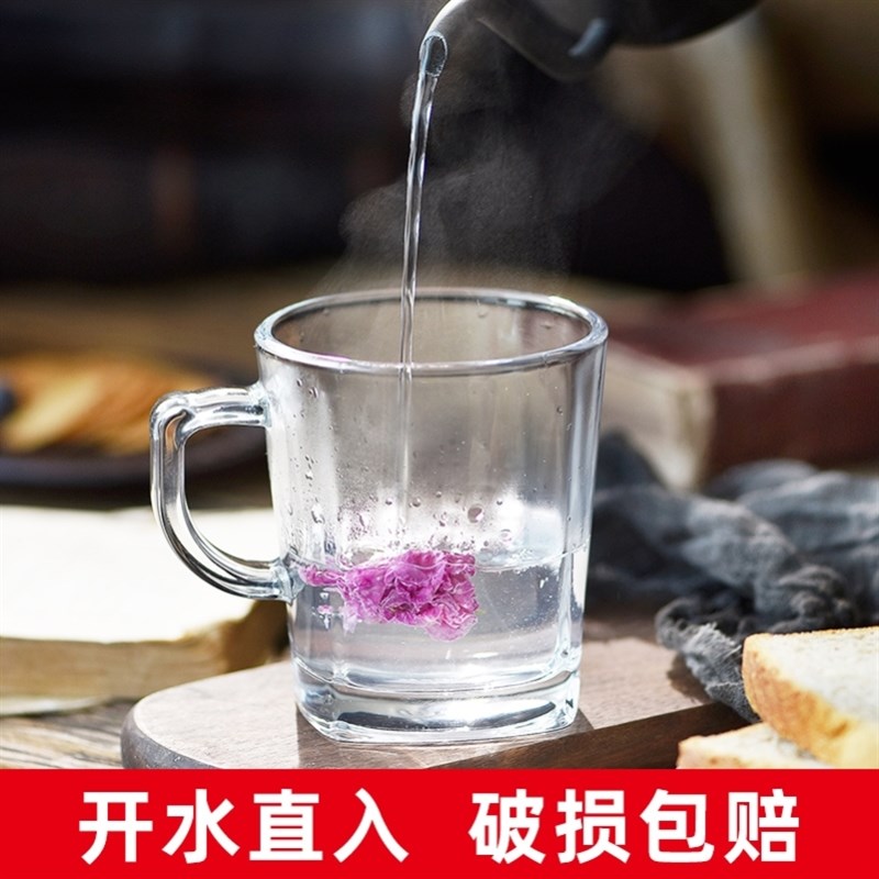 速发摔不烂玻璃杯防摔防爆耐高温水杯带把招待客人的喝水茶杯家用