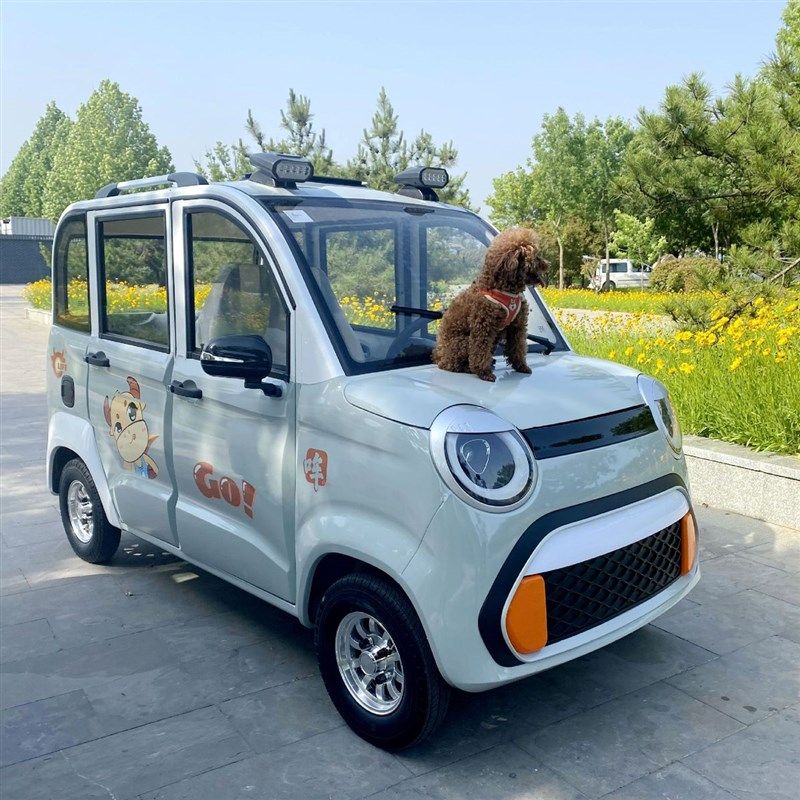 女生两门电动四轮车成人家用代步轿车油电两用新能源锂电汽车,畜牧/养殖物资,特种养殖设备,淘宝优惠券,粉丝福利购,淘宝优惠卷