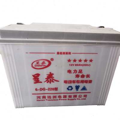 新品12V铅酸水电瓶工地三轮车x电源呈泰220工程电动车专用大容量