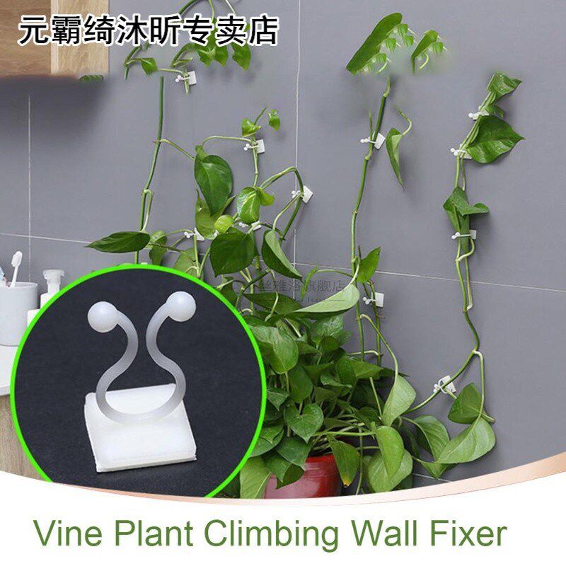 100PCS Garden Vegetable Plant Support Binding Clip Vine Plan