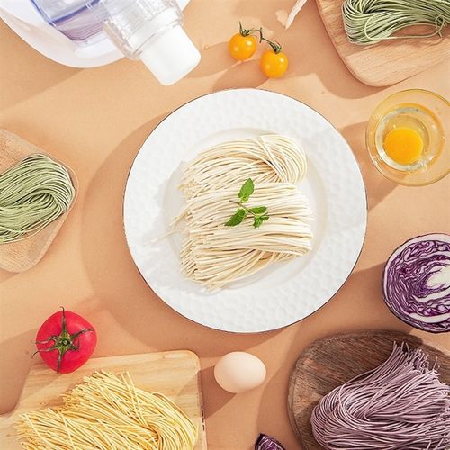 全自动智能面条机小型家用手动多功能13种面型压面机和面机