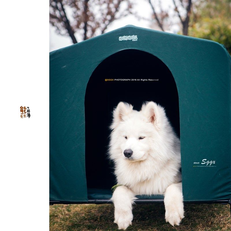 出口防水防晒防潮流浪狗窝狗帐篷宠物屋大中型犬四季通用防风保暖