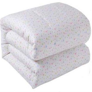 爆品新款 纯棉花被芯单人春秋3斤2薄棉絮儿童幼儿园12米小床垫被品