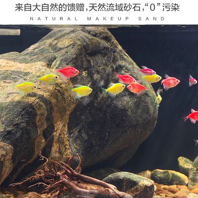 新疆包邮溪流石鱼缸造景底砂免洗天然H溪流沙南美缸龟缸原生缸底