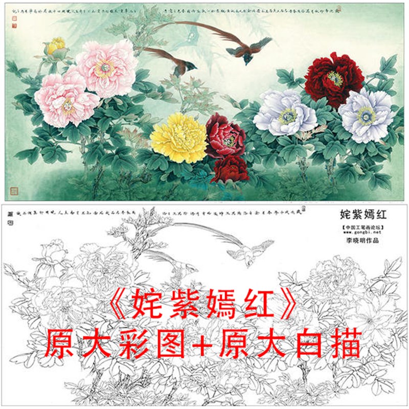 工笔白描牡丹四尺绶带底稿李晓明姹紫嫣红线描临摹实物打印稿877C
