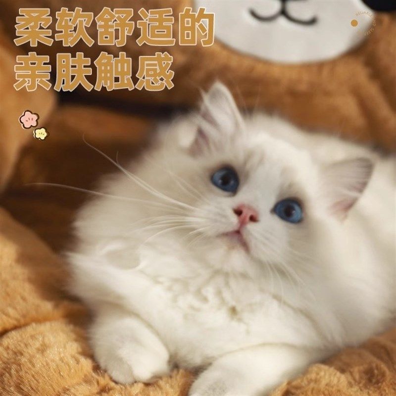 领养之家 猫窝冬季深度睡眠狗窝宠物加厚秋冬款猫屋猫咪沙发猫垫,宠物/宠物食品及用品,猫窝/屋/帐篷/沙发,淘宝优惠券,粉丝福利购,淘宝优惠卷