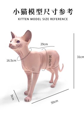 无毛猫宠物模特招财摆q件客厅桌面家居装饰服装展示玻璃钢猫咪道