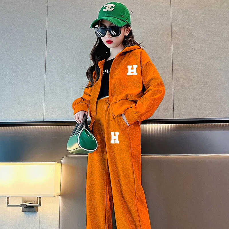 韩版时尚休闲运动套装女春秋款2024新款减龄洋气学院风宽松两件套