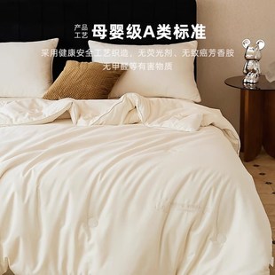 加厚保暖 被棉被冬季 120S长绒棉夏季 大豆纤维被子被芯春天夏秋四季