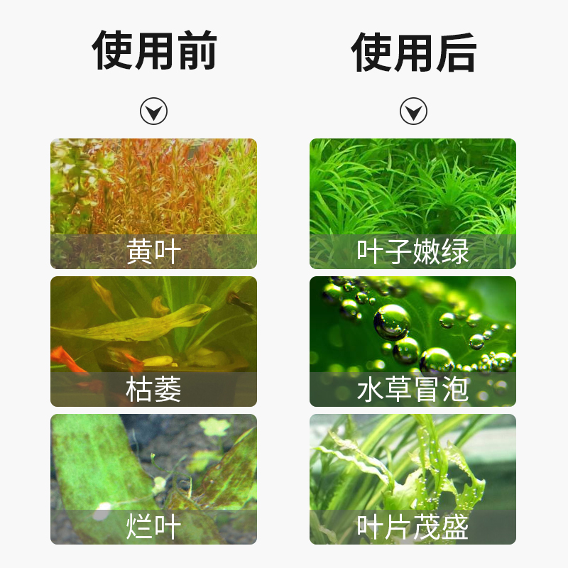 二氧化碳发生器细化l器套装水草鱼缸CO2专用水族生态缸DIY自制钢