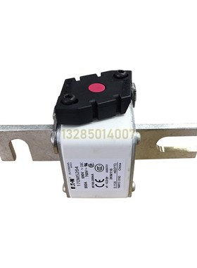 全新快速熔断器保险170M5261 170M5262 170M5263 170M5264