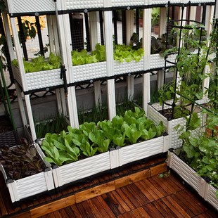 家庭阳台种菜箱蔬菜种植箱楼顶种菜盆长方形特大塑料花盆