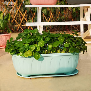 花盆塑料长方形多肉盆栽大口径绿萝吊兰家用创意个性 阳台种菜盆