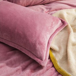 绒珊瑚牛奶家用一对枕套内胆48x74枕头套绒双人枕芯加厚冬季套装