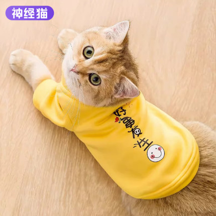 猫咪衣服秋季卫衣薄款秋冬小奶幼猫布偶猫蓝猫英短防掉毛可爱秋冬