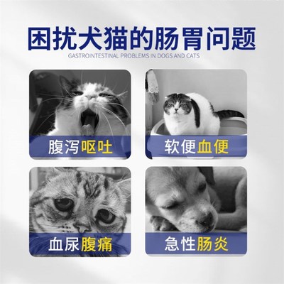 安痢肽狗猫宠物拉稀腹泻吐黄水便血传腹猫瘟止吐球虫