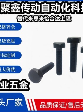 STRCB3/4/5/6/8/10/12-10~80 限位螺栓内六角孔型调整螺丝 PBH21