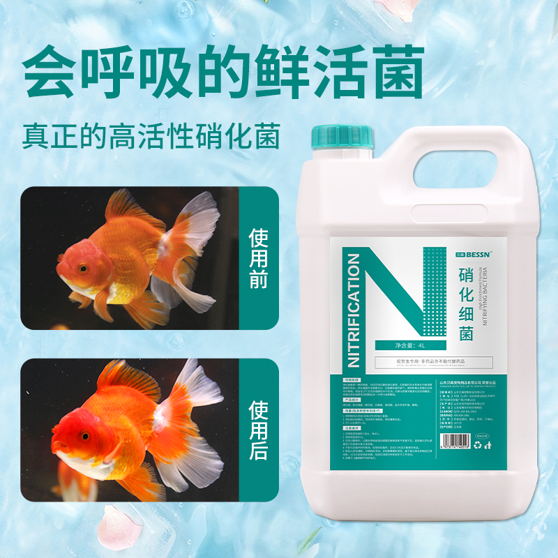 厂家硝化细菌鱼池用净水剂鱼缸消化细菌养鱼净化水质稳定剂4L鱼池