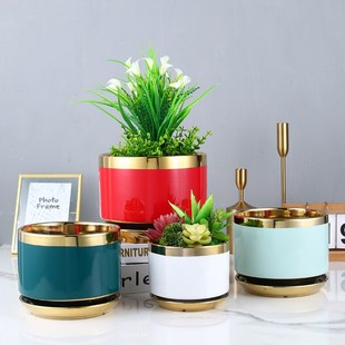 精致小花瓶金枝玉叶新款高端红色朱顶红专用陶瓷种花盆大号家用