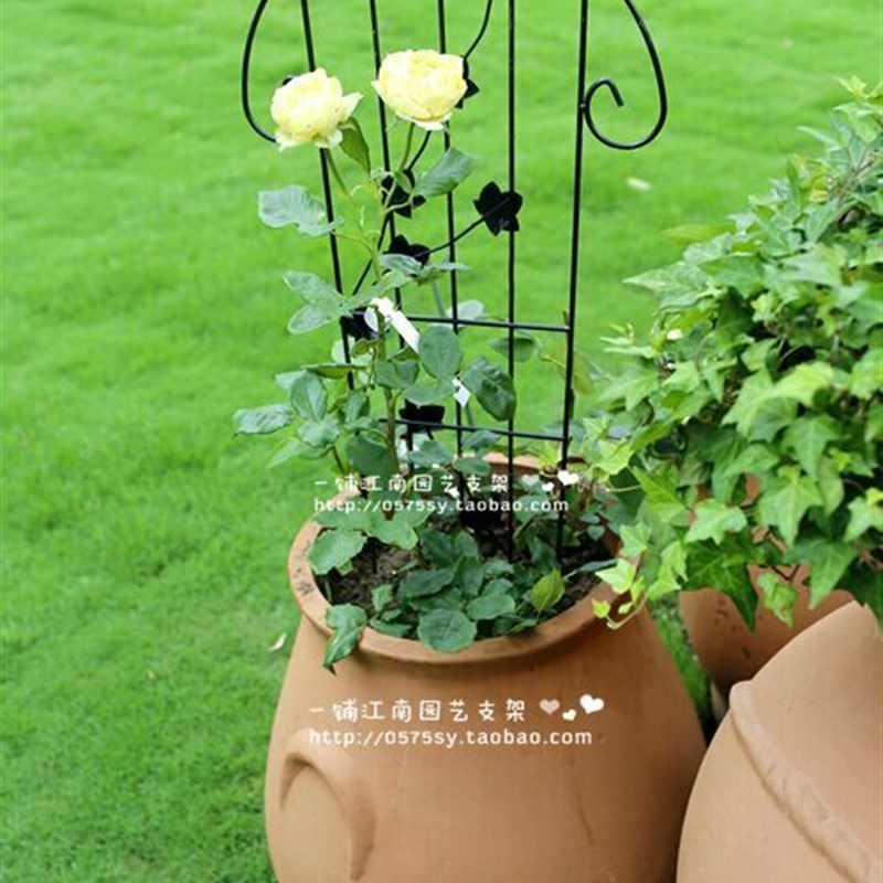 欧式铁线莲e月季琴型花幕架花卉 植物地面爬藤架 绿植花插片花架