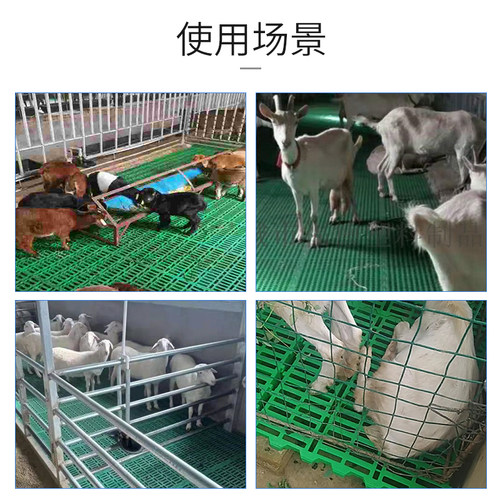 速发羊用漏粪板塑料羊床板养羊专用地板保育床接粪漏缝板养殖场设