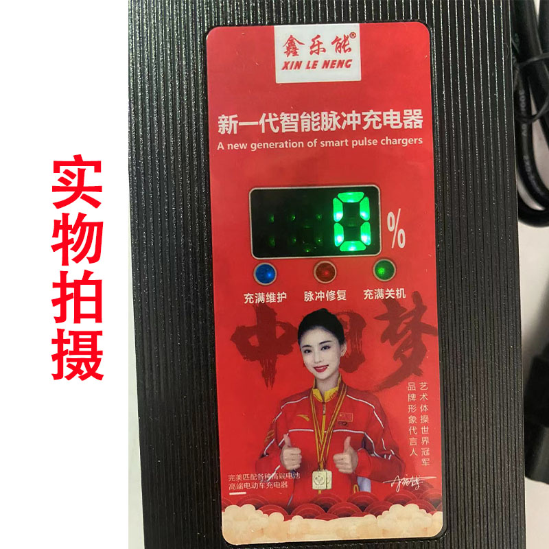 自动断电电动车电瓶充电器48V12AAH60V20AH72爱玛台铃三轮通用