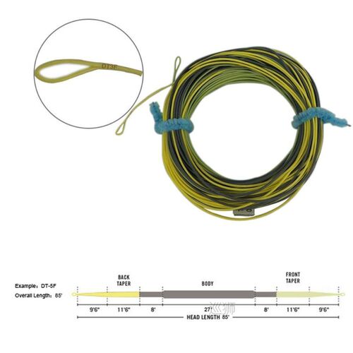 Double Tapered Fly Fishing Cast Line Gentle Long Taped Delic
