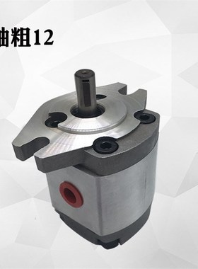 齿轮泵液压油泵HGP-1A-F1R/2R/3R/5R/F6R/F8R RX2B 4B HGWP-1A-F4