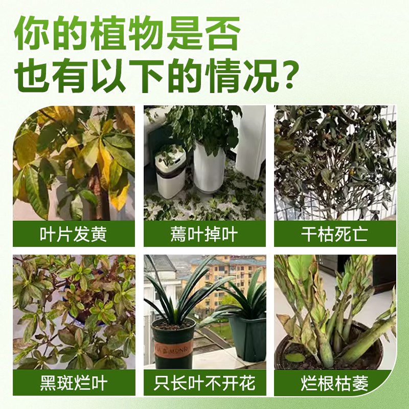 植物复活c液植物再生剂黄叶光杆半死不活绿植花卉通用稀释型专用